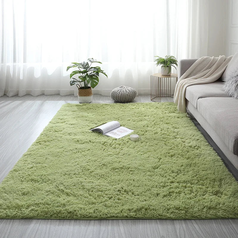 Modern Living Room Large Carpet Long Hair Children's room Carpets