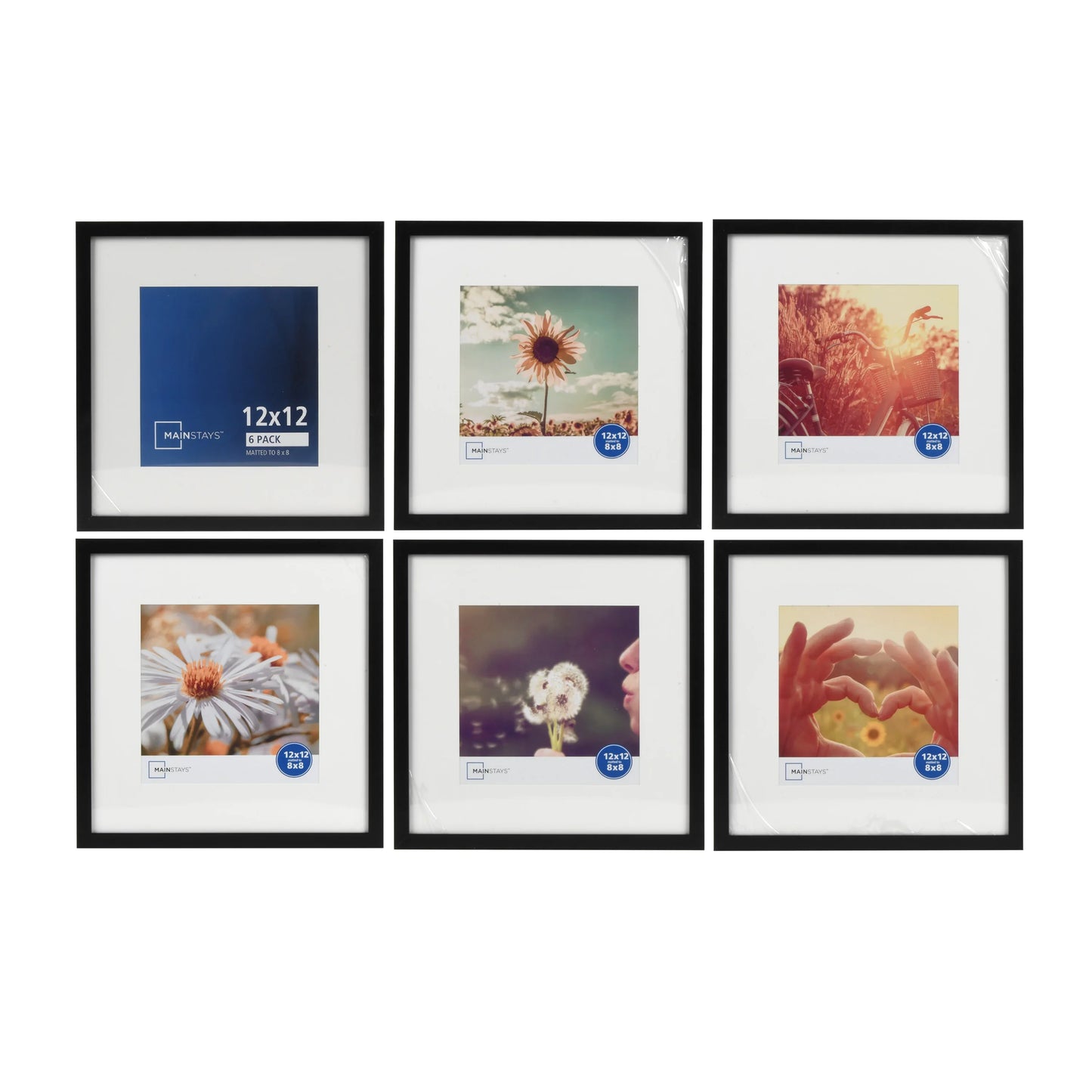 8x8 inch black matted picture frames set of six ideal for gallery wall photo displays