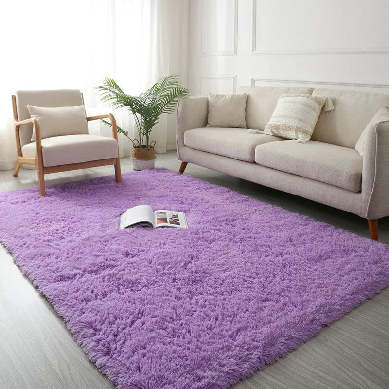 Modern Living Room Large Carpet Long Hair Children's room Carpets