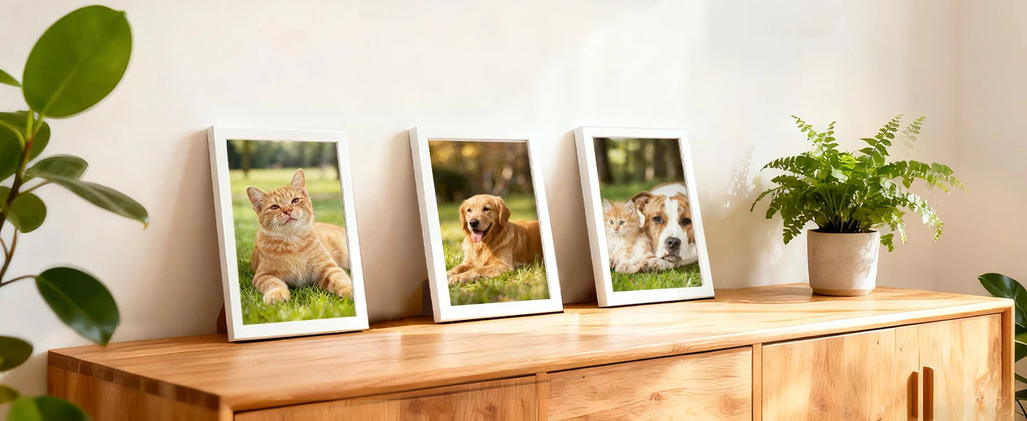5x7 Picture Frame Set of 3, Made of High Definition Glass for 5 X 7 Black Frames, Wall and Tabletop Display Thin Border Photo Frame for Home Décor